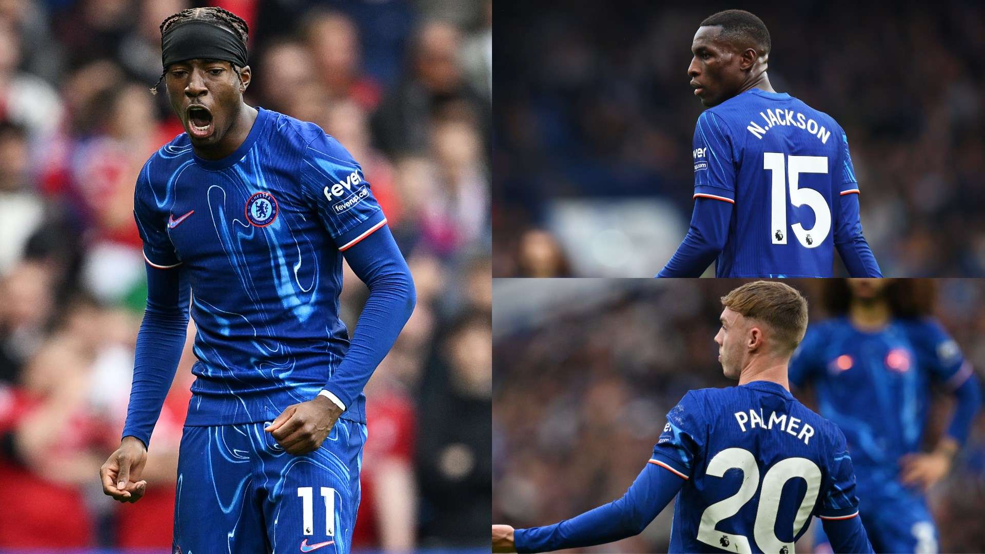 发展动态 发展动态